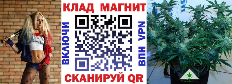 Купить закладку Конопля  COCAIN  ТГК  Меф мяу мяу  Псилоцибиновые грибы  Гашиш  A PVP  Можайск
