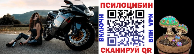 Купить где  Можайск  Псилоцибиновые грибы мухоморы 